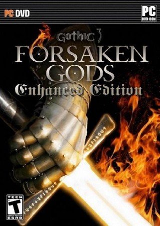 Gothic 3: Forsaken Gods Enhanced Edition (2011)