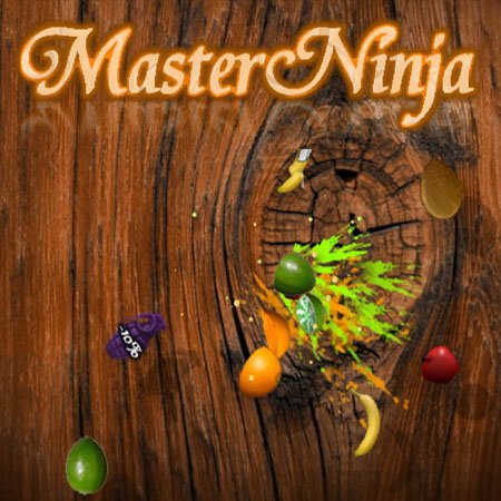 Master Ninja (2011)