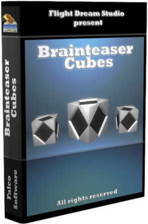 Brainteaser Cubes (2012)