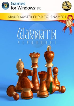 Chess Tournament (2013)