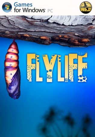 Flylife (2013)