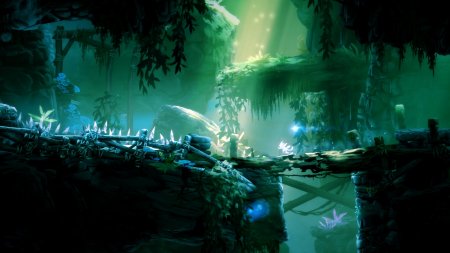     Ori And The Blind Forest     -  8