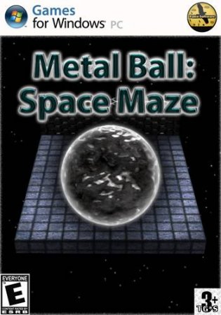 Metal Ball Space Maze (2013)